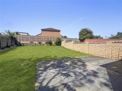 Picture 11